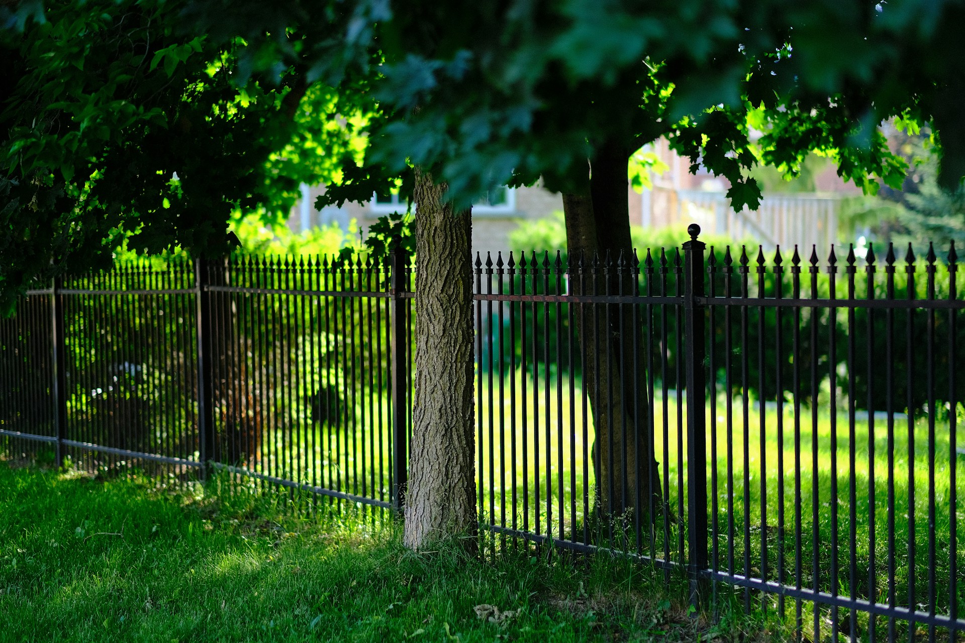 Fence Contractor in Lancaster, NY