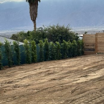 Landscaper-Desert-Hot-Springs-CA
