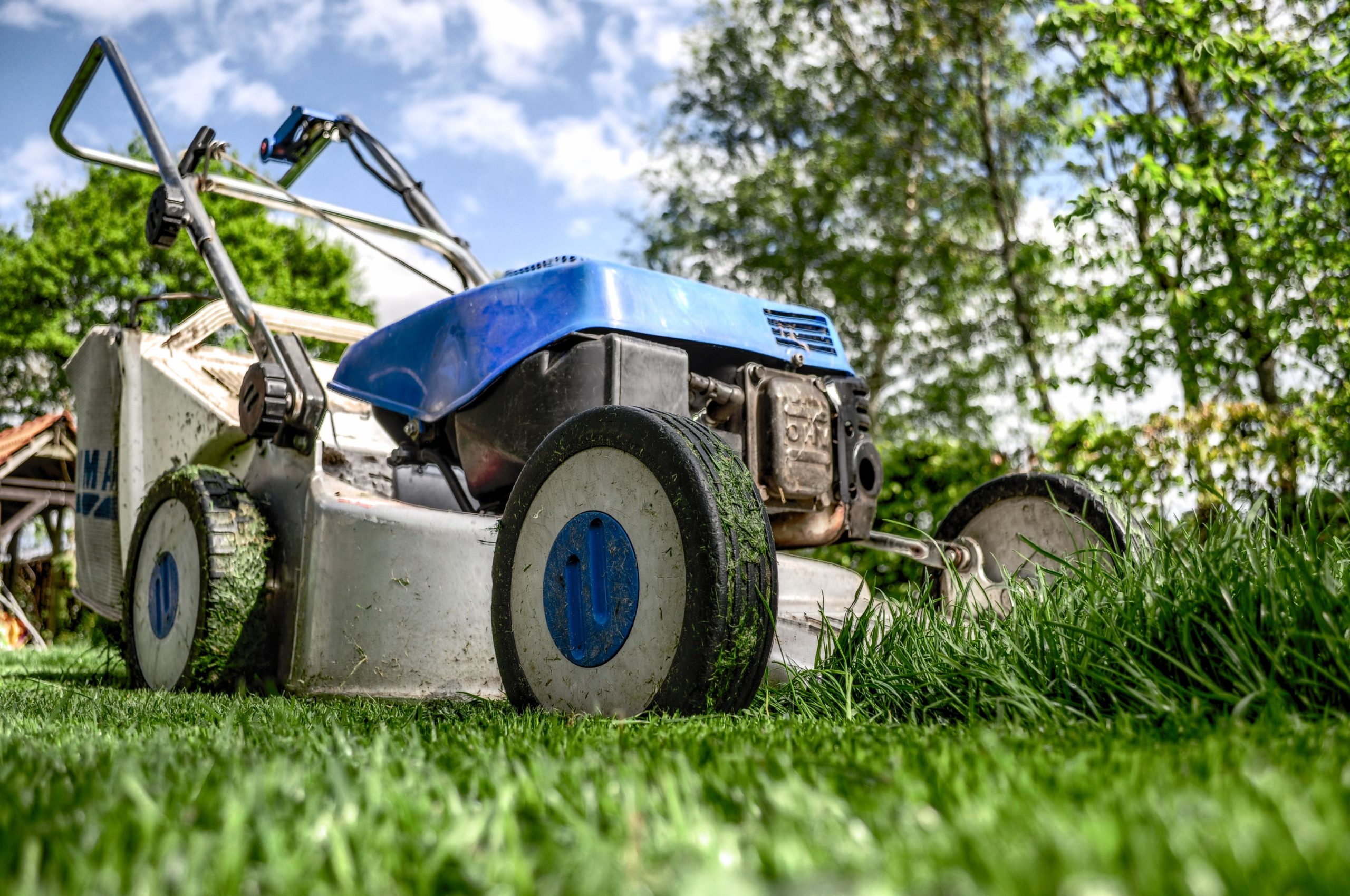 Landscaper in Danville