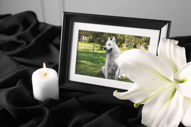 Pet Funeral Service