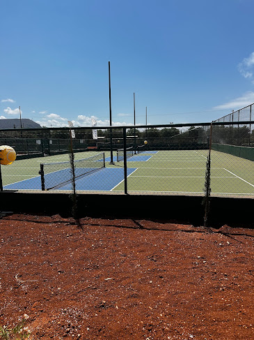 Ultimate Pickleball Greece Vacation