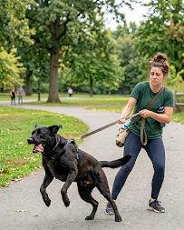 Guaranteed Dog Training